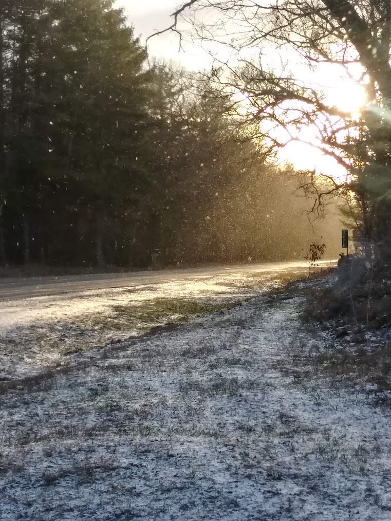 What is it like to live in the White Lake area year-round?